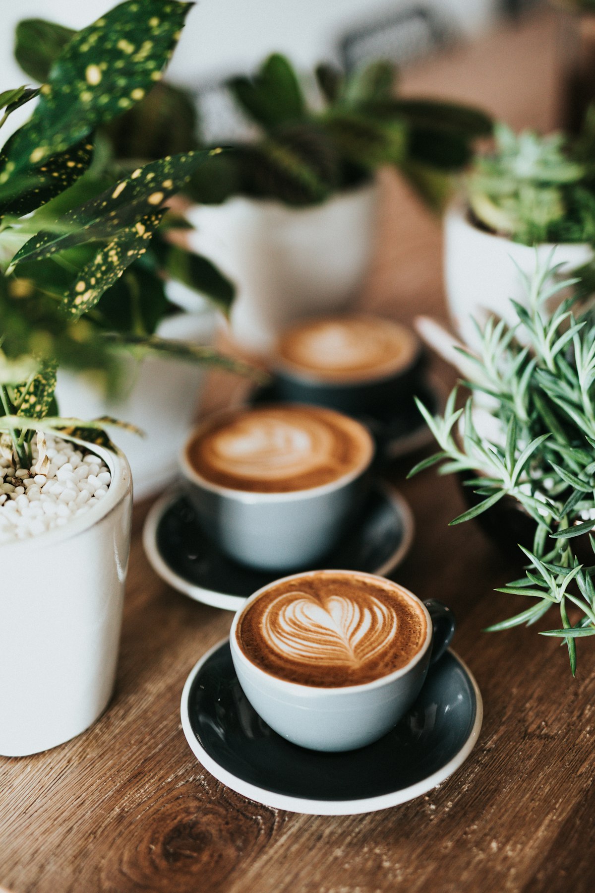 A Journey Through Global Coffee Culture: From Ethiopian Ceremonies to Italian Espresso