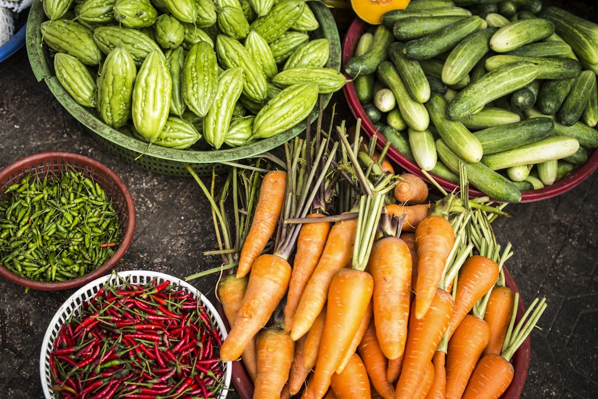 Farm-to-Table Travel: Discovering the World&#8217;s Best Agritourism and Culinary Farm Experiences